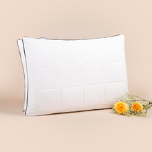 Kopfkissen Signature 45x65 cm - Altenburg - Memomad